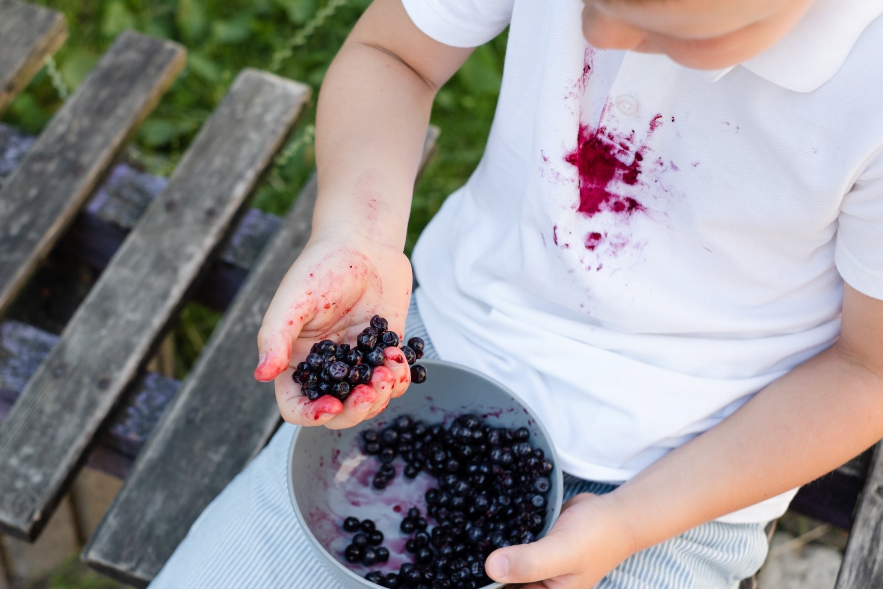 Quick Ways Remove Blueberry Stains From Your Clothes